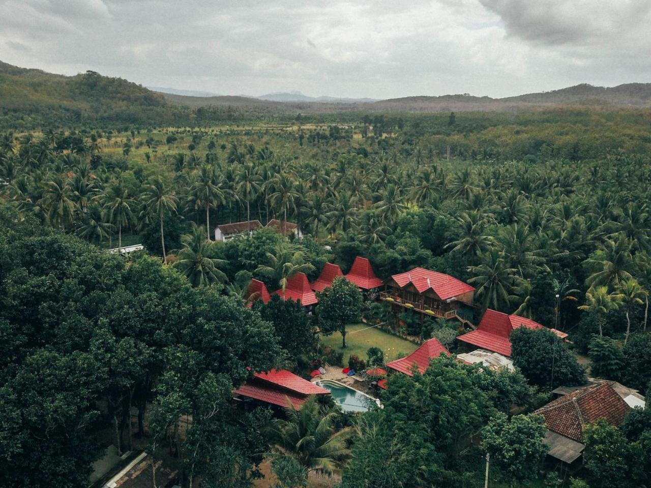 Hotel Mojosurf Camp Red Island à Pasanggaran Extérieur photo